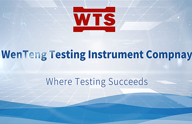 WTS Company Promotional Video - WTS